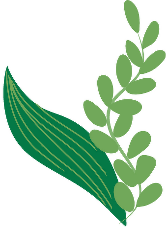 Gr&ouml;na tecknade blad