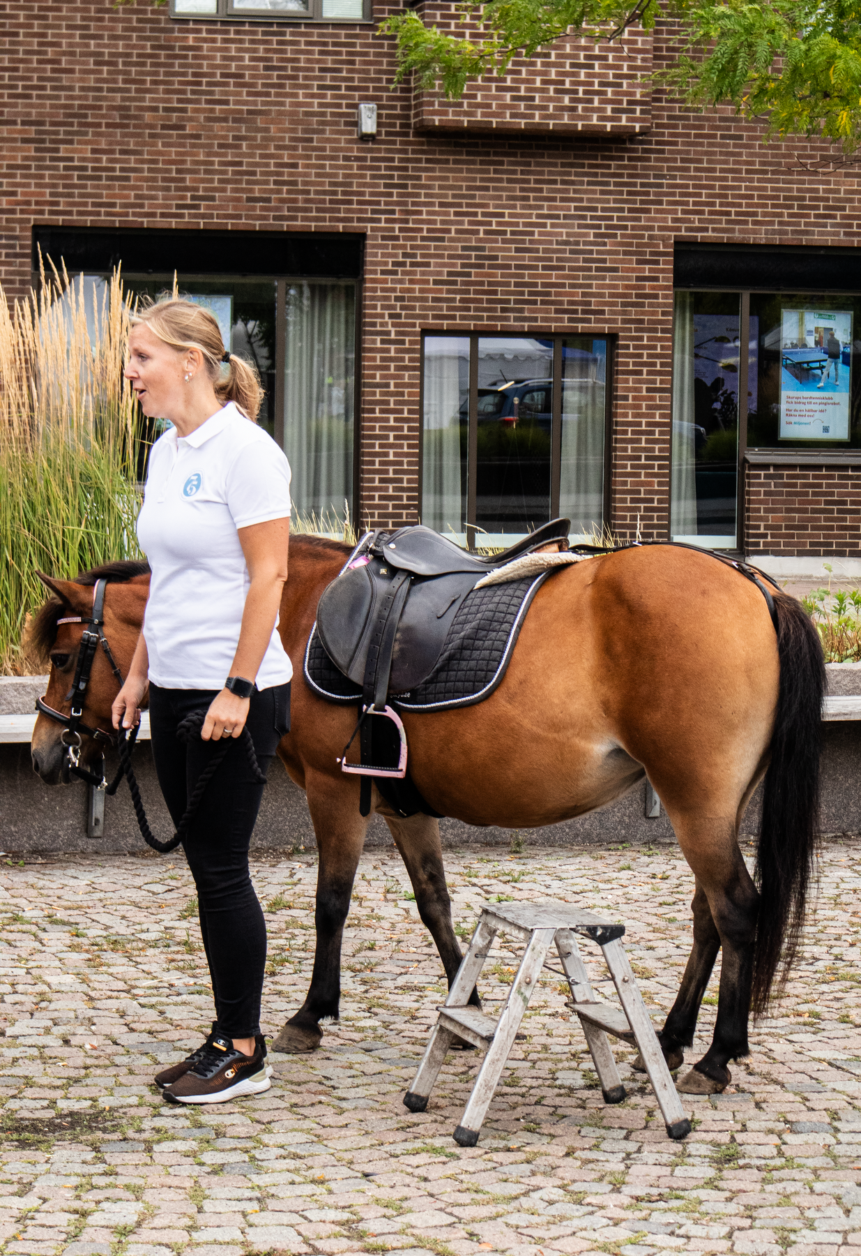 ponnyridning Kvinna som håller en brun ponny